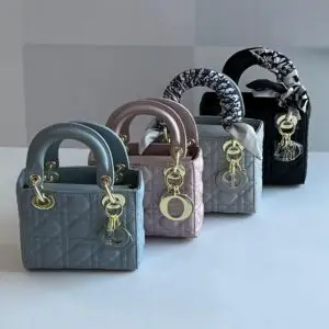 DIOR Sling and Bling Bag