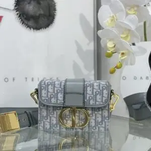 DIOR 30 Montaigne Bag