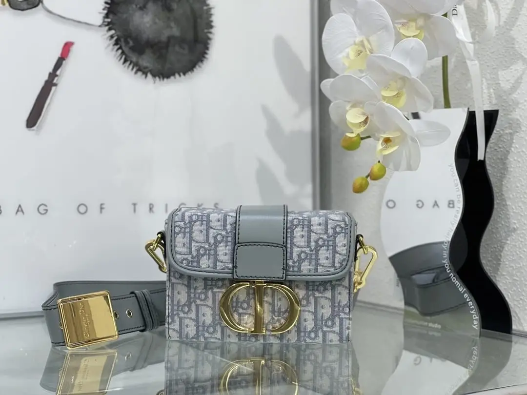 DIOR 30 Montaigne Bag DIOR 30 Montaigne Bag