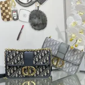DIOR Montaigne Bag
