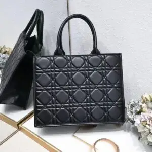 Dior Book Tote