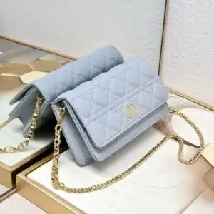 DIOR Caro Pouch Bag