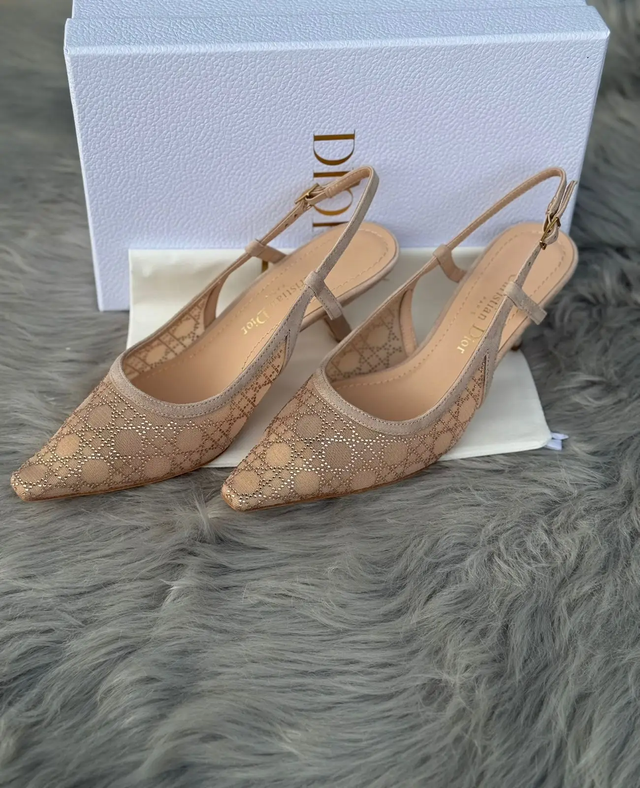 DIOR Capture Slingback Pumps DIOR Capture Slingback Pumps