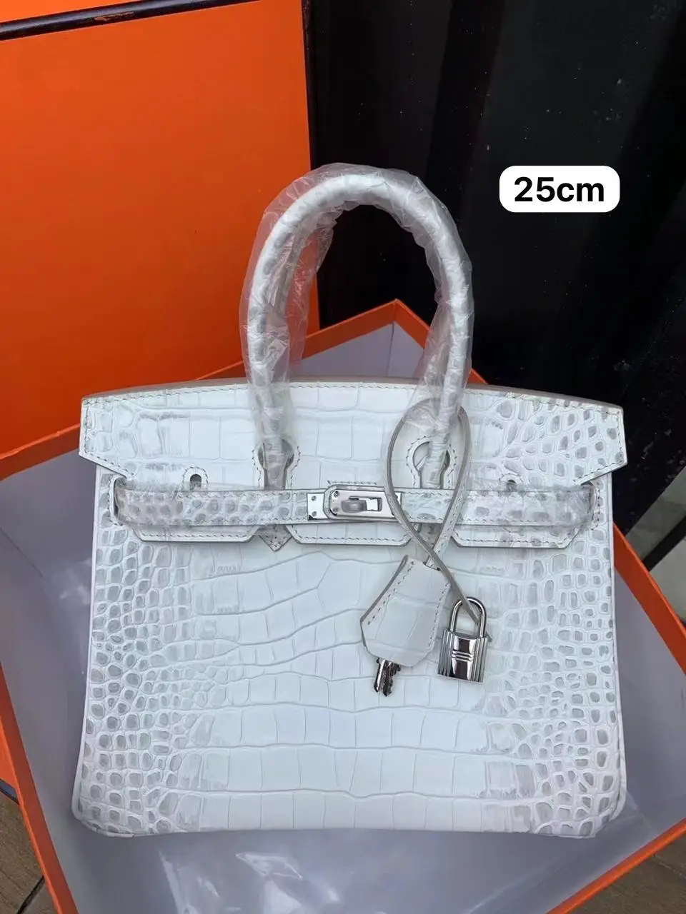 HERMES Leather Platinum Bag HERMES Leather Platinum Bag