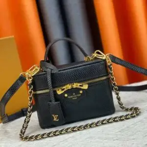 Louis Vuitton Vanity Bag