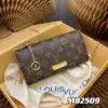 Louis Vuitton Wallet on Chain Bag