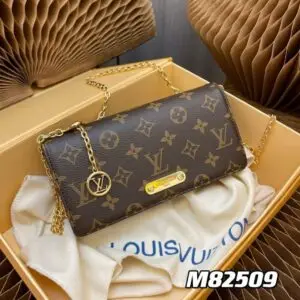 Louis Vuitton Wallet on Chain Bag