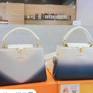 LOUSE VUITTON Capucines Handbag