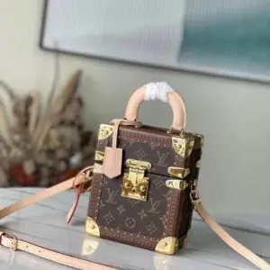 LOUSE VUITTON Camera Box Bag