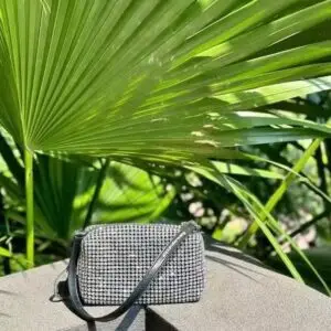 Alexander Wang Heiress Rhinestone Mesh Pouch