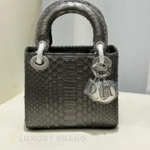 DIOR Mini Python Lady Dior Bag