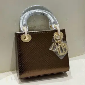DIOR Python Lady Bag