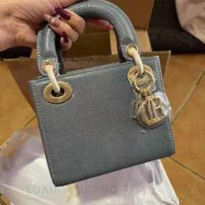DIOR Lady D-Joy Bag