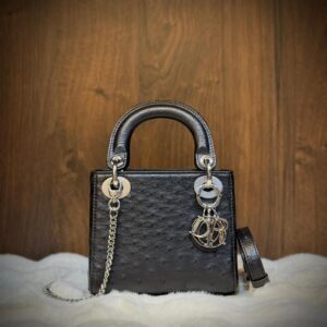 DIOR Lady Handbag