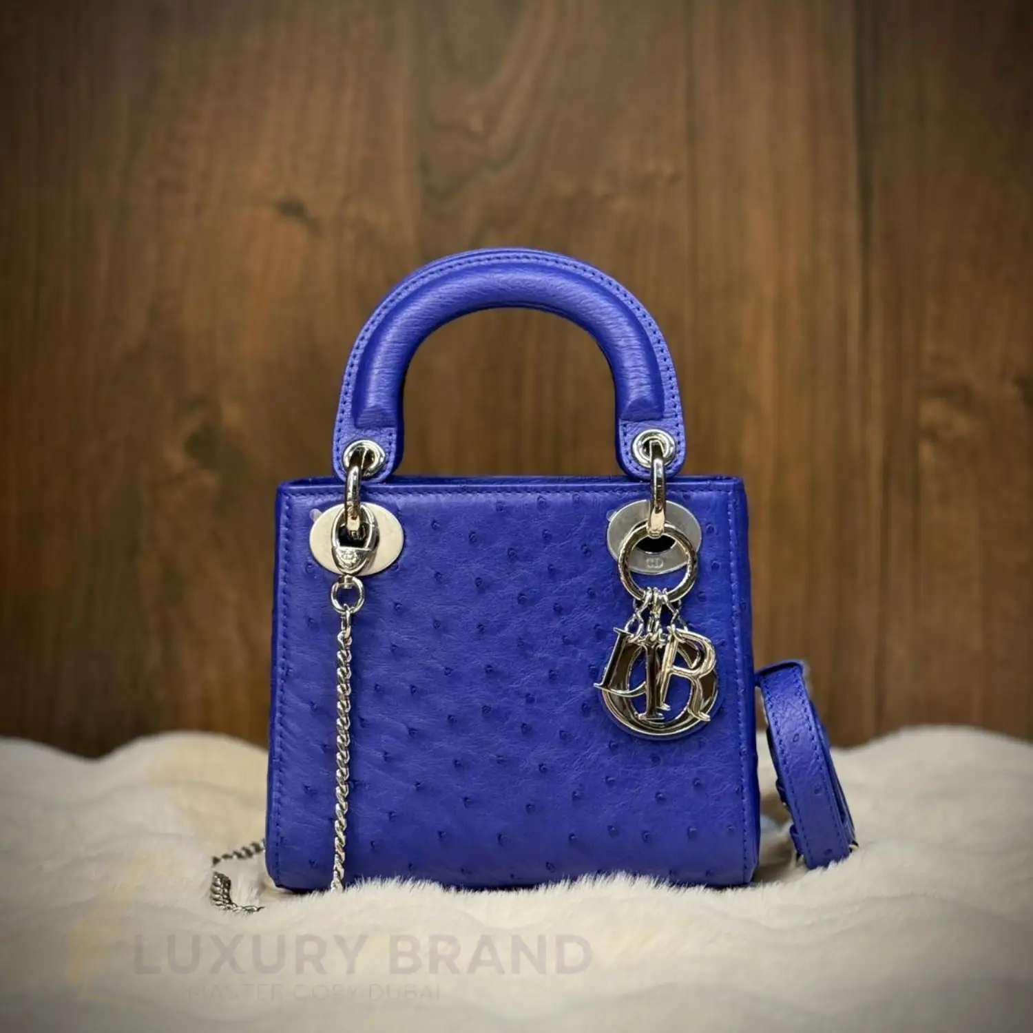 DIOR Lady D-Joy Bag DIOR Lady D-Joy Bag