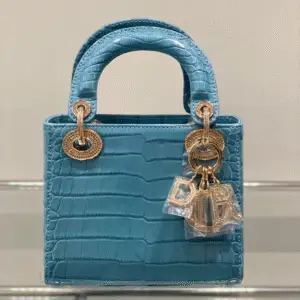 DIOR Lady D-Joy Bag