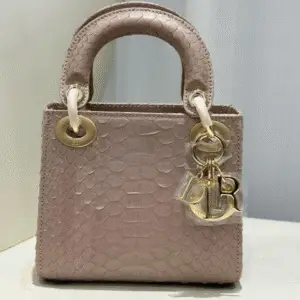 DIOR Lady D-Joy Bag