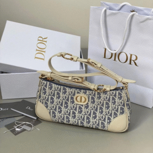DIOR Wanderlust Mini Bag