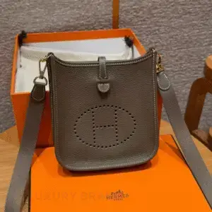 Hermes Evelyne Bag