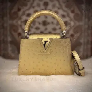 Louis Vuitton Capucines Mini Bag