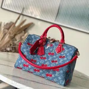 Louis Vuitton Speedy Handbag