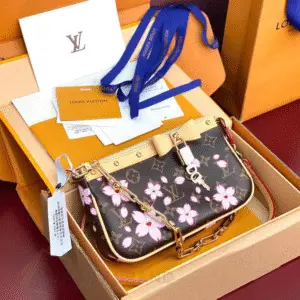 Louis Vuitton Pochette Accessoires Bag