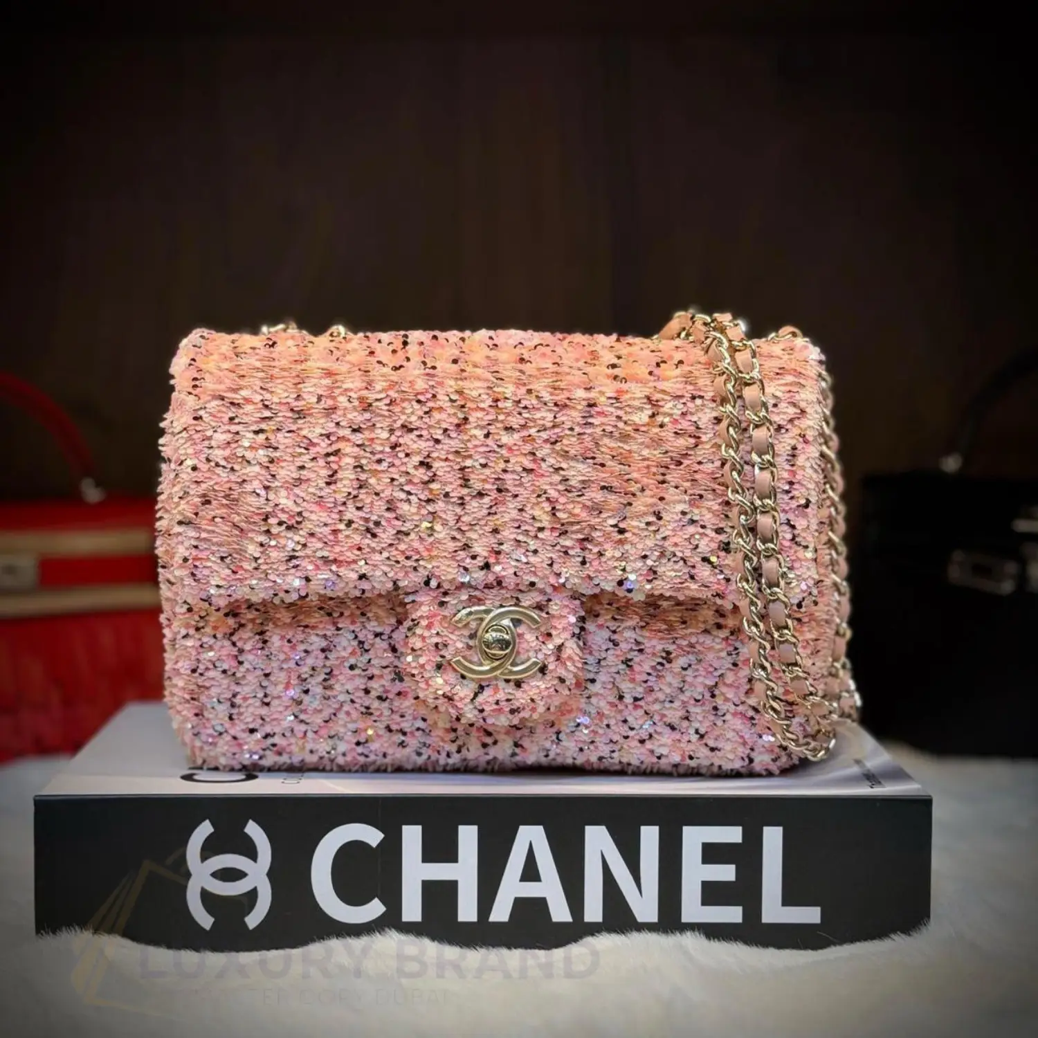 CHANEL Classic Flap Bag CHANEL Classic Flap Bag