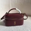 YSL Gaby Vanity Bag in Leather