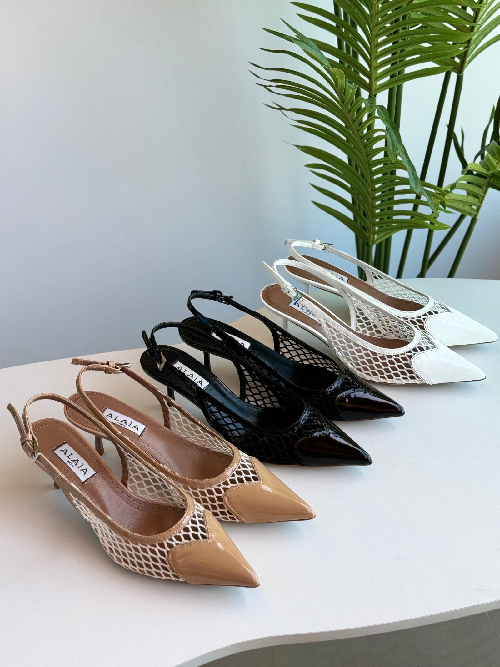 ALAIA