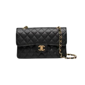 Chanel Double Flap Bag