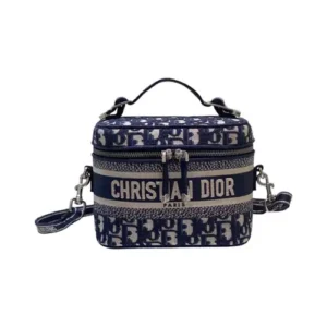 Christian Dior Vanity Case Bag