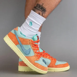 Nike shoe