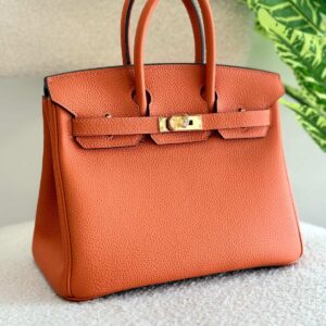 Buy Hermes Birkin 25CM Orange Togo Leather Handbag